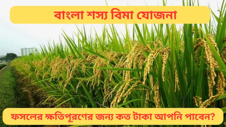 Bangla Shasya Bima Payment Status